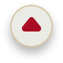 Scroll to the top Icon